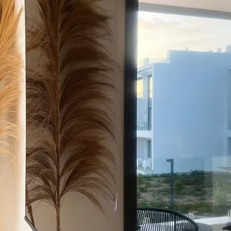 Apartment Cozy And Modern One-bedroom In Cove Garden