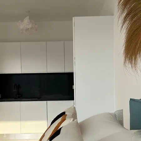 Cozy And Modern One-bedroom In Cove Garden 키레니아